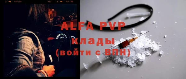 амф Верея