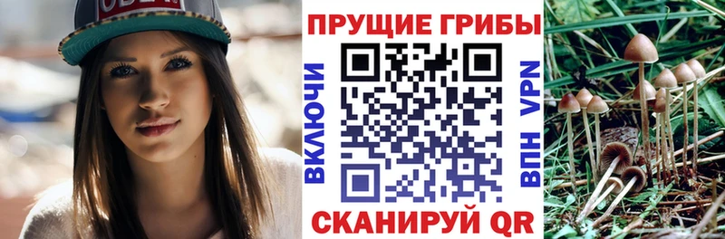Галлюциногенные грибы GOLDEN TEACHER  это формула  Верхнеуральск 